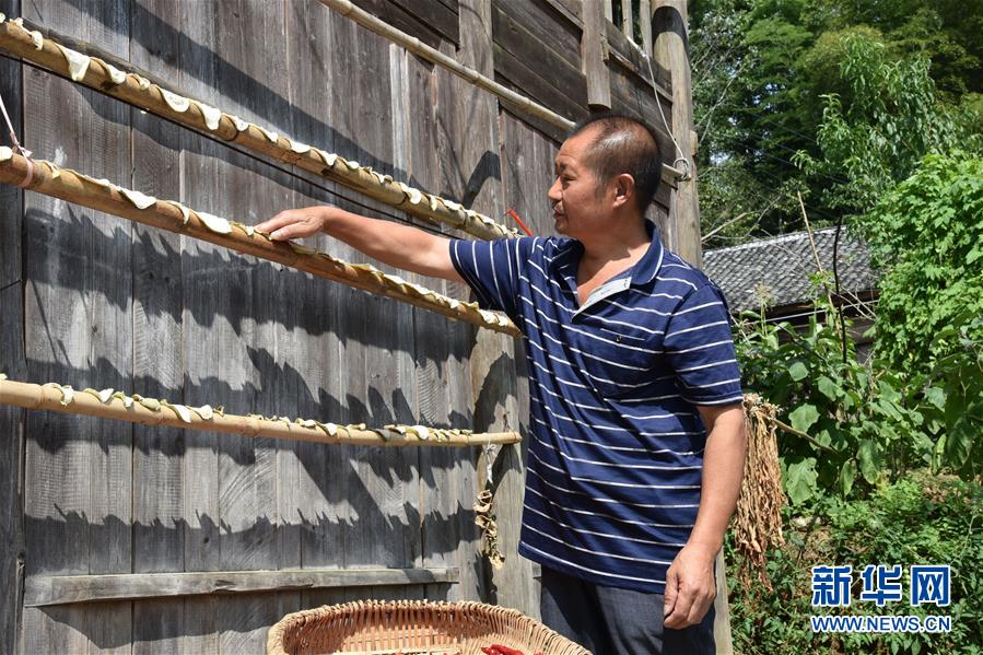 （愛國情 奮斗者&middot;圖文互動）（2）貴州印江高石坎護林隊：半輩子，以林場為家