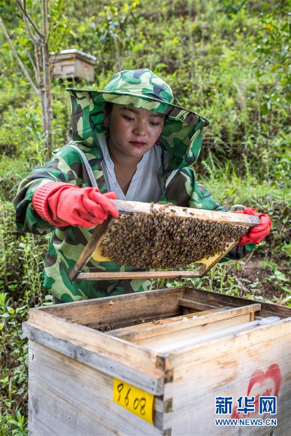 (圖文互動(dòng))(7)太陽(yáng)照耀“人類童年”——新時(shí)代直過民族脫貧攻堅(jiān)紀(jì)事