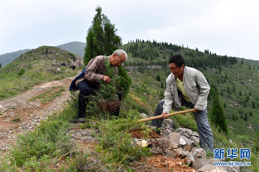 （圖文互動）（2）&ldquo;退休20年，咱就干了這么一件事&rdquo;&mdash;&mdash;記山西水利廳退休干部高文毓的&ldquo;綠山夢&rdquo;