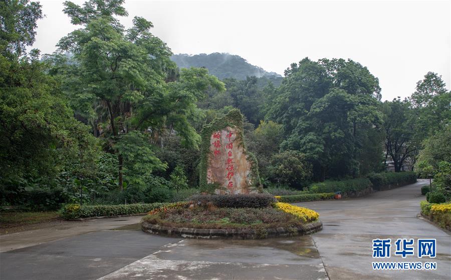 (圖文互動)(1)科學(xué)接續(xù)保護 守住生態(tài)紅線——探訪“北回歸沙漠帶上的綠色明珠”