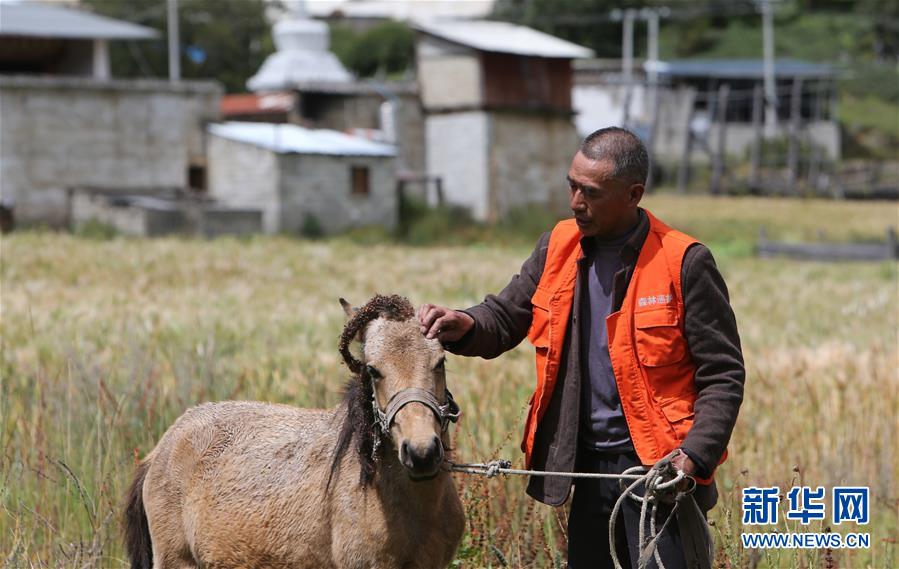 (新華全媒頭條·決戰(zhàn)決勝脫貧攻堅(jiān)·圖文互動(dòng))(4)為了人與自然和諧共生——云南“三江并流”地區(qū)決戰(zhàn)精準(zhǔn)脫貧的“生態(tài)畫卷”