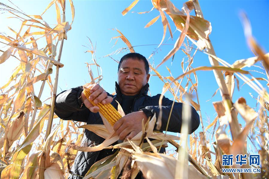 (在習(xí)近平新時(shí)代中國(guó)特色社會(huì)主義思想指引下——新時(shí)代新作為新篇章·總書記關(guān)心的百姓身邊事·圖文互動(dòng))(3)一本“村官”日記里的扶貧路——小故事里的大情懷之四
