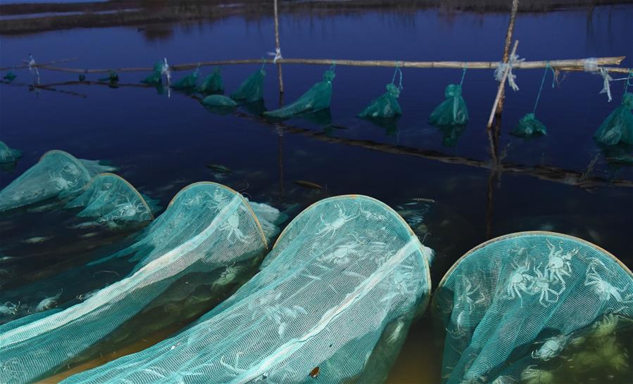 (在習(xí)近平新時(shí)代中國特色社會主義思想指引下——新時(shí)代新作為新篇章·總書記關(guān)心的百姓身邊事·圖文互動)(2)水潤民心——全國農(nóng)村飲水安全攻堅(jiān)成效觀察