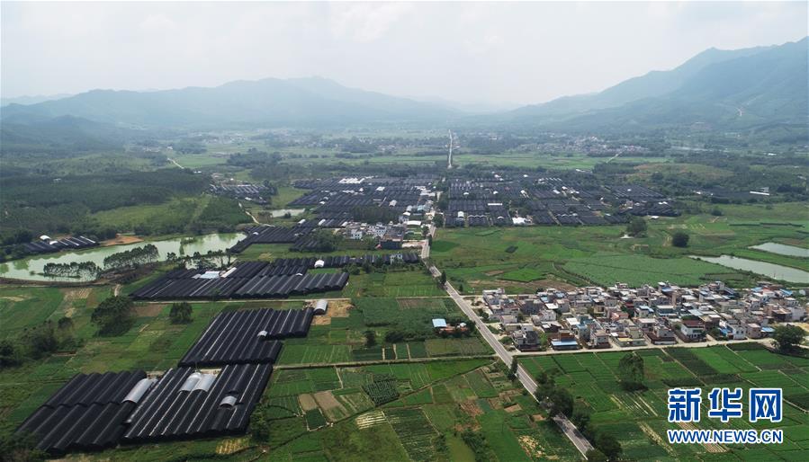 （在習近平新時代中國特色社會主義思想指引下&mdash;&mdash;新時代新作為新篇章&middot;總書記關(guān)心的百姓身邊事&middot;圖文互動）（1）&ldquo;科技秀才&rdquo;給田野帶來新希望