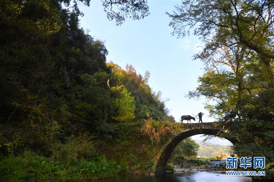 （圖文互動）（3）鄉(xiāng)村攝影師、鄉(xiāng)村&ldquo;模特&rdquo;、民宿店主&mdash;&mdash;鄉(xiāng)村旅游推動婺源農(nóng)民生活方式發(fā)生新變化