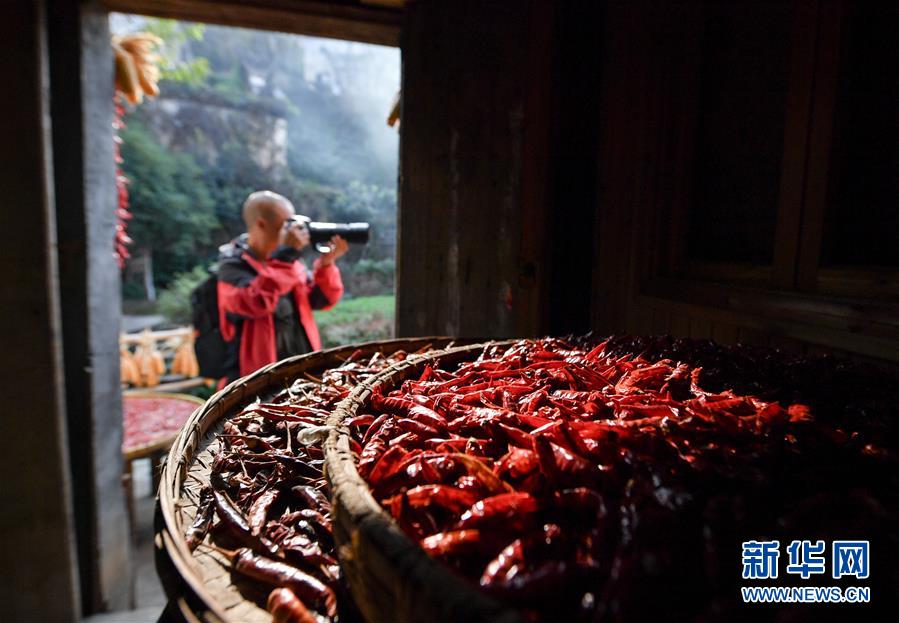 （圖文互動）（6）鄉(xiāng)村攝影師、鄉(xiāng)村&ldquo;模特&rdquo;、民宿店主&mdash;&mdash;鄉(xiāng)村旅游推動婺源農(nóng)民生活方式發(fā)生新變化