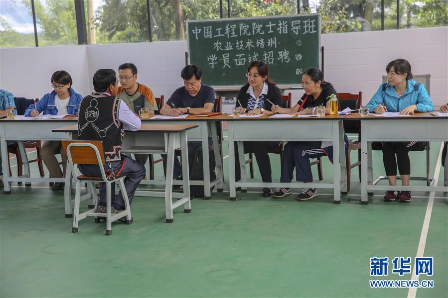 （新華全媒頭條&middot;時代先鋒&middot;圖文互動）（4）&ldquo;要把論文寫在大地上&rdquo;&mdash;&mdash;記&ldquo;農(nóng)民院士&rdquo;朱有勇