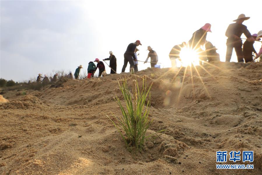 (在習(xí)近平新時(shí)代中國(guó)特色社會(huì)主義思想指引下——新時(shí)代新作為新篇章·總書記關(guān)切高質(zhì)量發(fā)展·圖文互動(dòng))(4)在藍(lán)天白云下——污染防治攻堅(jiān)戰(zhàn)持續(xù)推進(jìn)