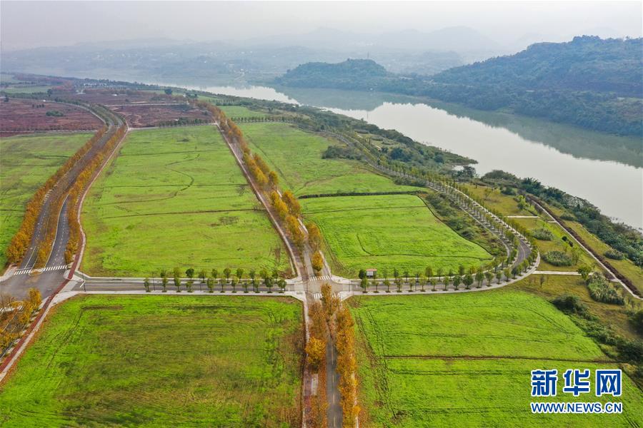 (四中全會(huì)精神在基層·圖文互動(dòng))(2)一江碧水串起綠色島鏈——重慶江心島“生態(tài)留白”調(diào)查