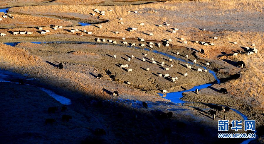 （新華全媒頭條&middot;圖文互動(dòng)）（15）格?；ㄩ_(kāi)滿(mǎn)天路&mdash;&mdash;寫(xiě)在川藏公路通車(chē)65周年之際