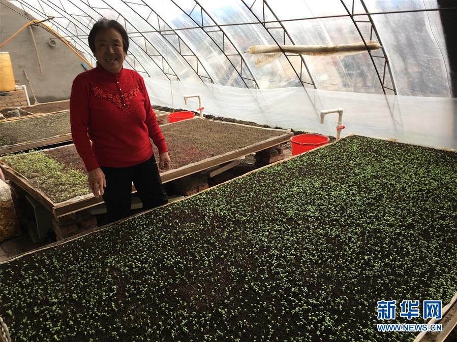 (脫貧攻堅·圖文互動)(1)中國東極故事之三:“花匠”姜連玉的“重生”路