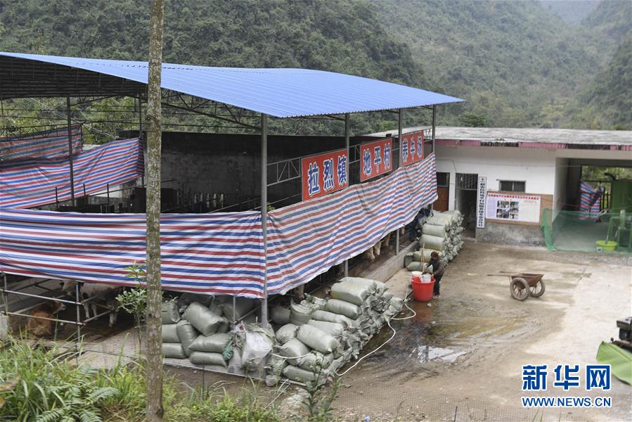 (脫貧攻堅(jiān)·圖文互動(dòng))(2)為了不讓一個(gè)貧困戶落下——追記廣西都安縣駐村第一書記黃景教