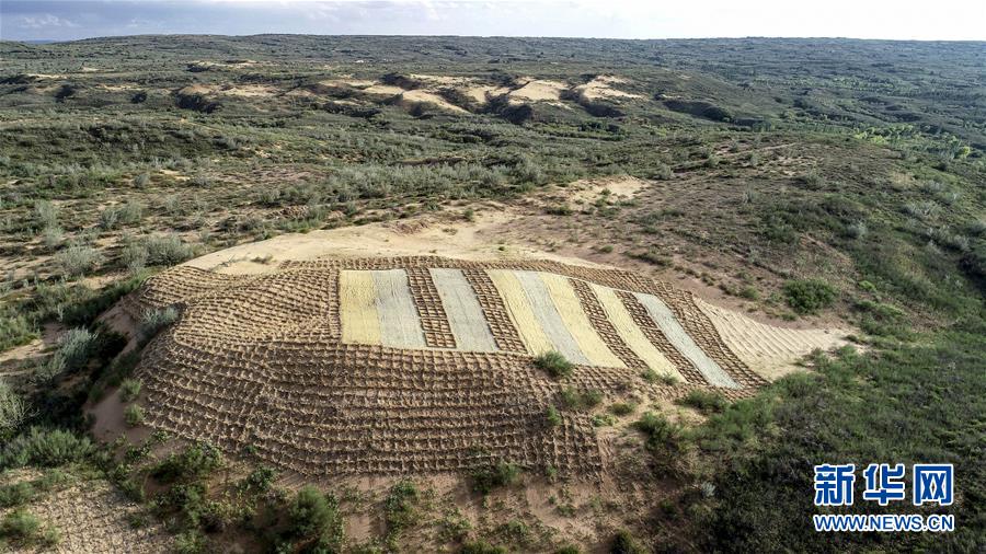 （在習(xí)近平新時(shí)代中國(guó)特色社會(huì)主義思想指引下&mdash;&mdash;新時(shí)代新作為新篇章&middot;總書(shū)記關(guān)切高質(zhì)量發(fā)展&middot;圖文互動(dòng)）（1）從一粒沙看不斷擴(kuò)大的中國(guó)綠色版圖