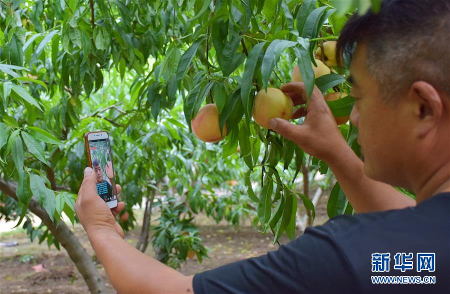 (在習(xí)近平新時(shí)代中國(guó)特色社會(huì)主義思想指引下——新時(shí)代新作為新篇章·總書(shū)記關(guān)切脫貧事·決勝貧困·圖文互動(dòng))(6)讓一方水土“富養(yǎng)”一方人——扶貧特色產(chǎn)業(yè)惠及千家萬(wàn)戶(hù)