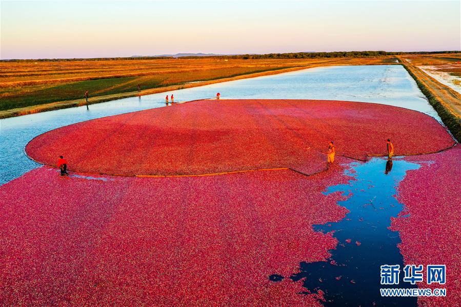 （圖文互動）（9）從&ldquo;輕工漁網(wǎng)重工馬掌&rdquo;到&ldquo;圓夢小康&rdquo;&mdash;&mdash;&ldquo;中國東極&rdquo;脫貧攻堅剪影