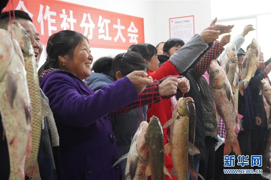 （新春走基層&middot;圖文互動）（3）&ldquo;空殼村&rdquo;分紅啦！