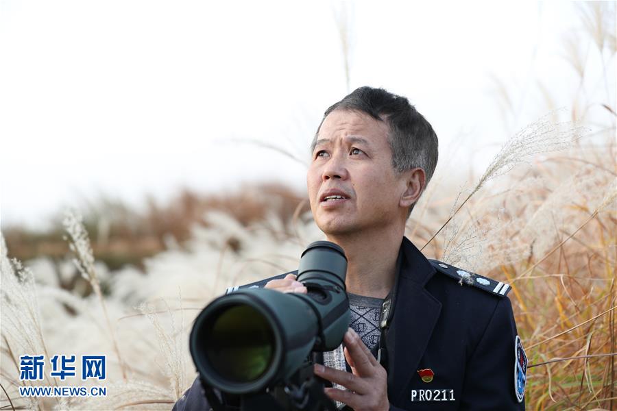 （新春走基層&middot;圖文互動）他們，默默守護(hù)候鳥