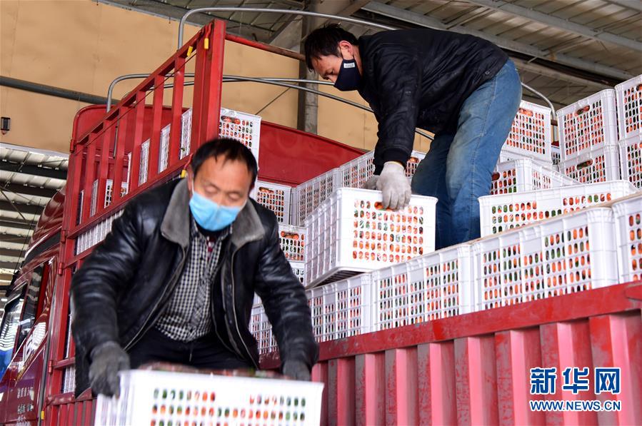 （聚焦疫情防控&middot;圖文互動）（5）吃的東西充足，做點花樣菜吧！&mdash;&mdash;中部地區(qū)最大農(nóng)產(chǎn)品批發(fā)市場見聞 