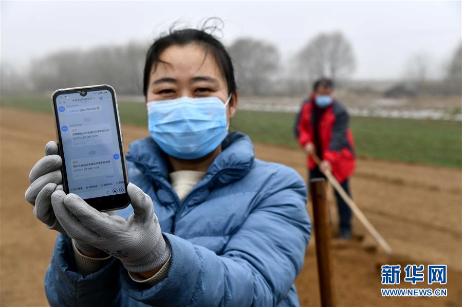 （圖文互動(dòng)）（2）別樣的春耕&mdash;&mdash;來(lái)自農(nóng)業(yè)大省山東的春耕備耕見(jiàn)聞