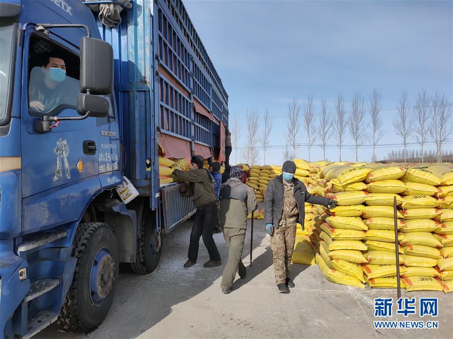 （春耕備耕&middot;圖文互動(dòng)）（1）&ldquo;疫&rdquo;線賽農(nóng)時(shí) 播種新希望&mdash;&mdash;產(chǎn)糧大省黑龍江別樣&ldquo;備耕圖&rdquo;