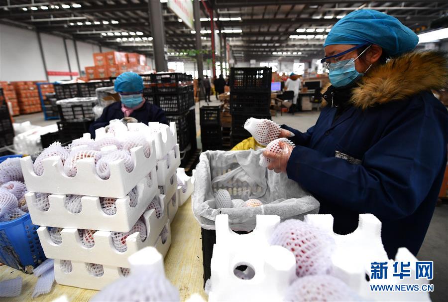 （聚焦疫情防控&middot;圖文互動）（1）&ldquo;一輛輛車出發(fā)，春暖花開的日子就不遠了&rdquo;&mdash;&mdash;西北電商大縣陜西省武功縣復(fù)工見聞