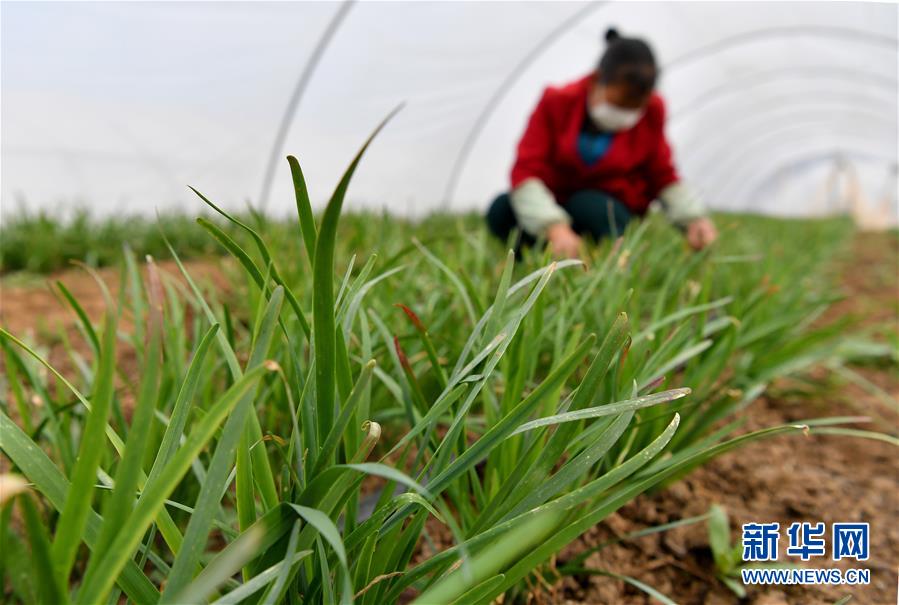（圖文互動(dòng)）（3）&ldquo;春天到了，熟悉的生活正在慢慢回來&rdquo;&mdash;&mdash;陜西多地復(fù)產(chǎn)復(fù)工一線見聞