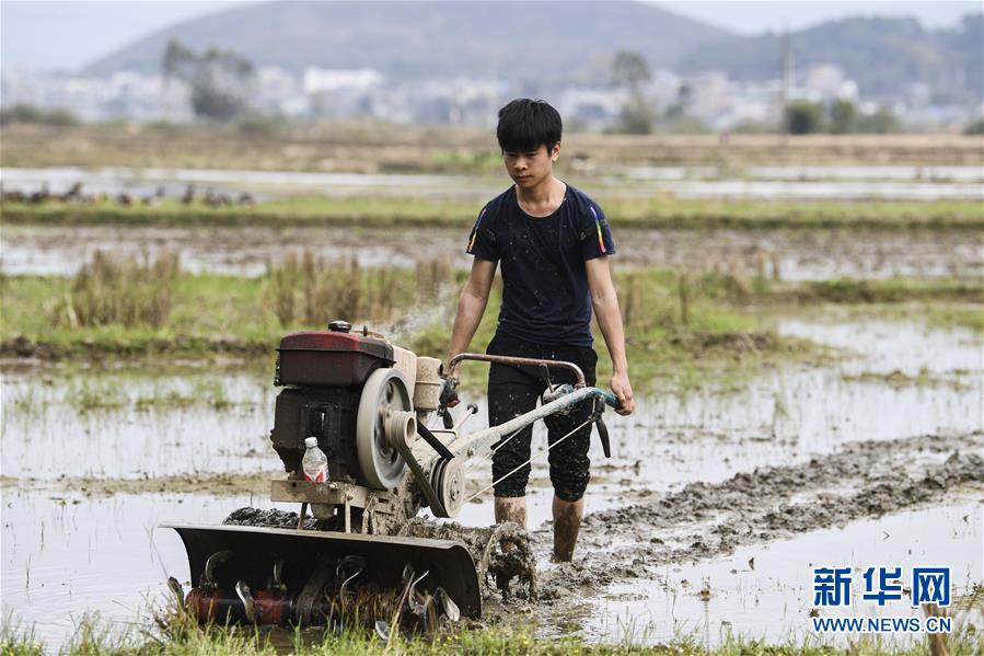 (社會)(1)廣西桂平:春耕正當(dāng)時(shí)