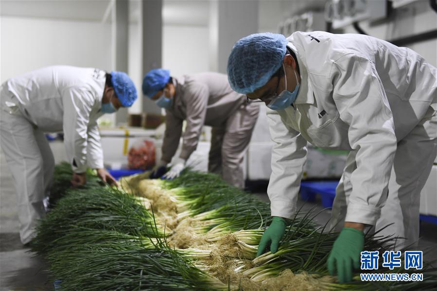 （圖文互動(dòng)）（6）&ldquo;早一天復(fù)工，損失就少一點(diǎn)&rdquo;&mdash;&mdash;廣西以精準(zhǔn)防控推動(dòng)復(fù)工復(fù)產(chǎn)一線見聞