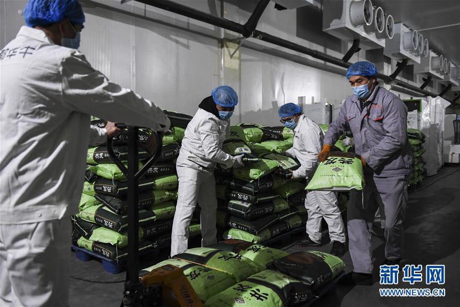 （抓好經(jīng)濟發(fā)展 應(yīng)對復(fù)雜局面&middot;圖文互動）（1）&ldquo;一企一策&rdquo;解難題 大項目按下&ldquo;加速器&rdquo;&mdash;&mdash;廣西精準(zhǔn)有序推動項目開工復(fù)工