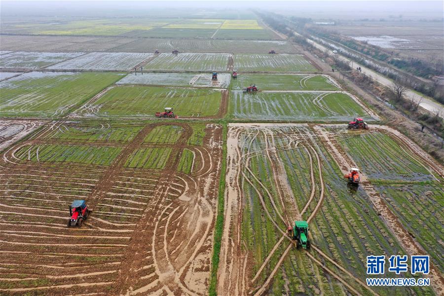 （抓好春耕備耕 穩(wěn)住農(nóng)業(yè)生產(chǎn)&middot;圖文互動）（2）智能農(nóng)機、&ldquo;訂單&rdquo;服務(wù)、&ldquo;云端&rdquo;種菜&mdash;&mdash;來自江西的春耕&ldquo;新事&rdquo;