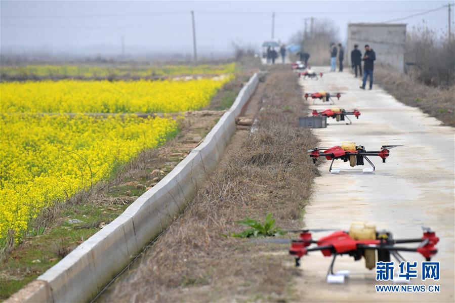 （抓好春耕備耕 穩(wěn)住農(nóng)業(yè)生產(chǎn)&middot;圖文互動）（4）智能農(nóng)機、&ldquo;訂單&rdquo;服務(wù)、&ldquo;云端&rdquo;種菜&mdash;&mdash;來自江西的春耕&ldquo;新事&rdquo;