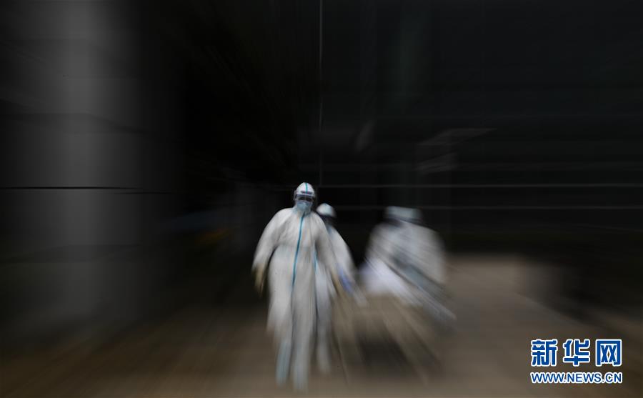 （聚焦疫情防控&middot;圖文互動）（13）這個春天，期待已久