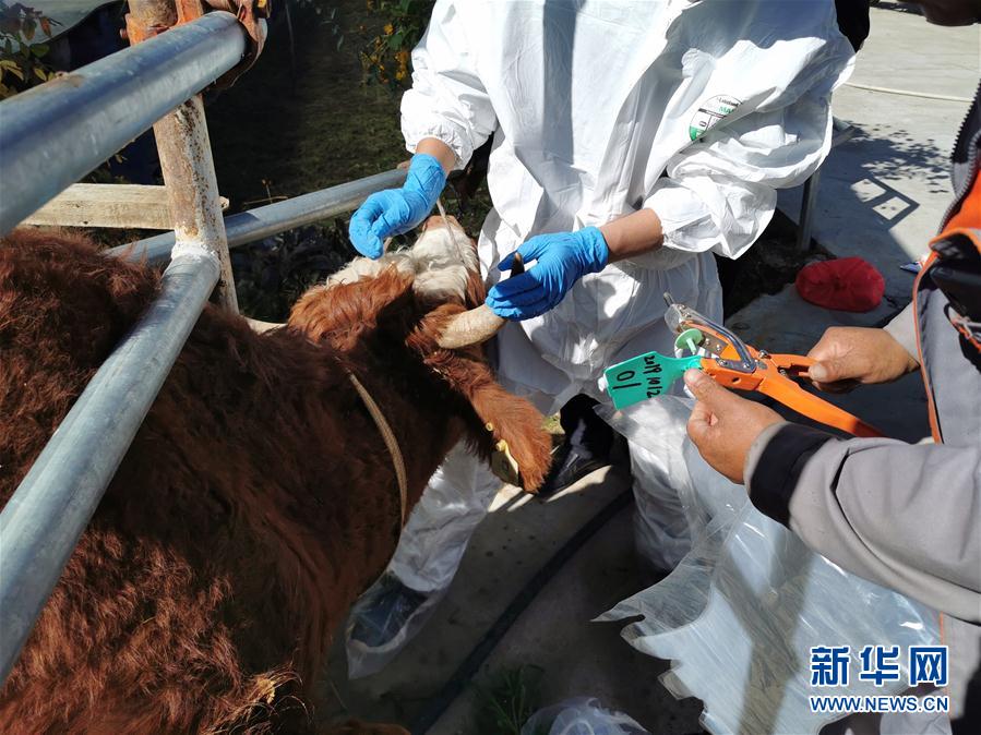 （決戰(zhàn)決勝脫貧攻堅(jiān)&middot;圖文互動(dòng)）（1）脫貧&ldquo;不暫停&rdquo; 服務(wù)&ldquo;不打烊&rdquo;&mdash;&mdash;天津通過&ldquo;云端&rdquo;幫扶為甘肅受援地區(qū)戰(zhàn)貧繼續(xù)助力