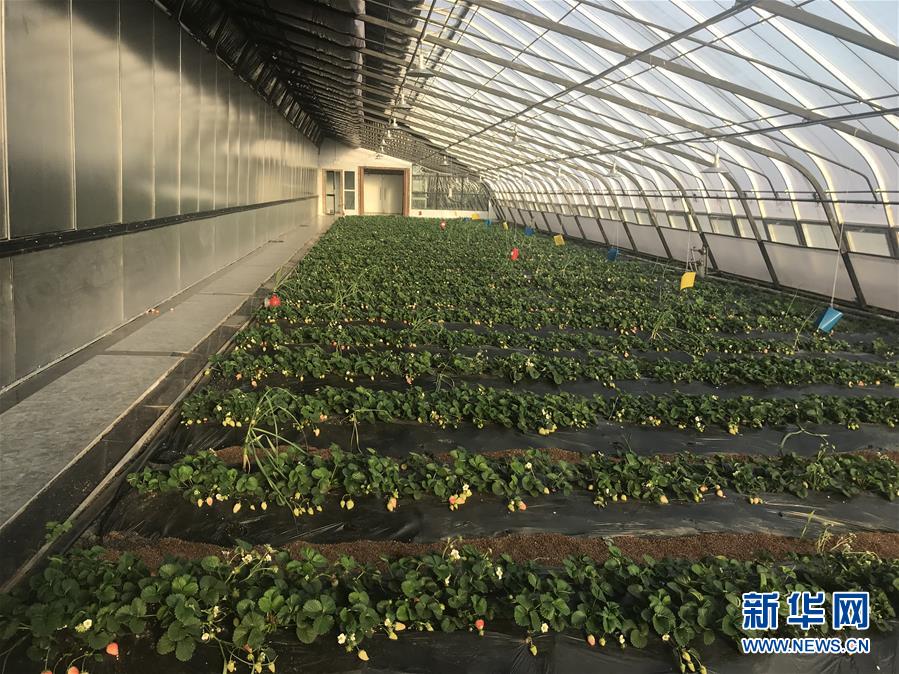 (圖文互動(dòng))(2)產(chǎn)業(yè)變綠 石墨變金 環(huán)境變美——“煤城”三變?cè)杏旱纳鷻C(jī)