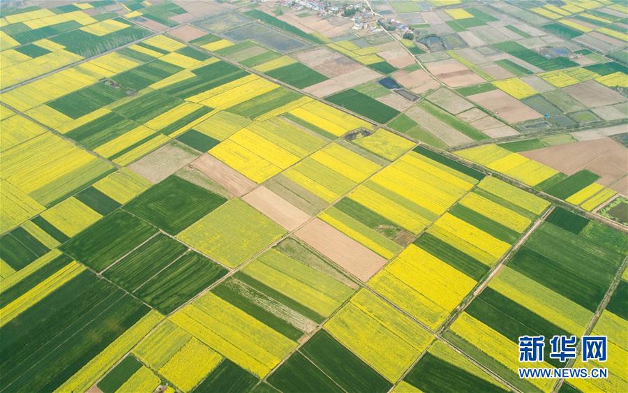 （新華全媒頭條&middot;圖文互動）（6）在艱難中重啟 在陣痛中復(fù)蘇&mdash;&mdash;湖北推動安全有序復(fù)工復(fù)產(chǎn)掃描