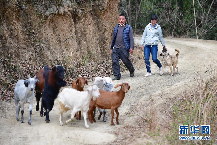 （新華全媒頭條&middot;圖文互動(dòng)）（7）奔向新的幸福&mdash;&mdash;陜西貧困縣全部摘帽的N個(gè)截面