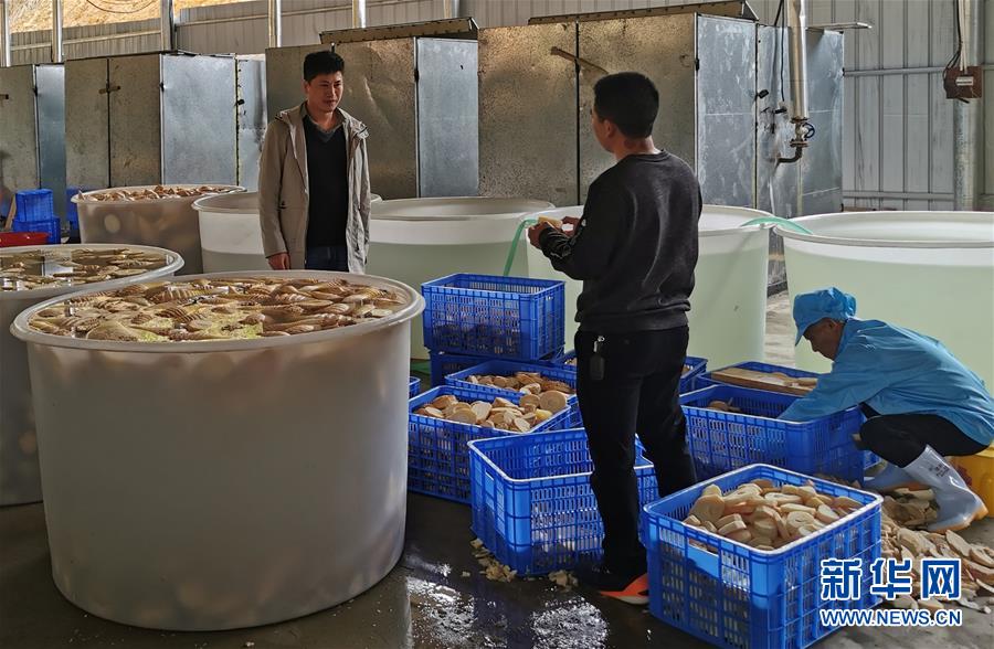 （決戰(zhàn)決勝脫貧攻堅&middot;圖文互動）掛牌督戰(zhàn)，一個都不能少&mdash;&mdash;江西確保剩余9.6萬貧困人口全部脫貧