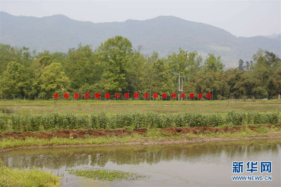 （圖文互動）（2）疏通產(chǎn)業(yè)鏈堵點 保障&ldquo;菜籃子&rdquo;供應&mdash;&mdash;重慶養(yǎng)殖大區(qū)力促養(yǎng)殖業(yè)補損復產(chǎn)