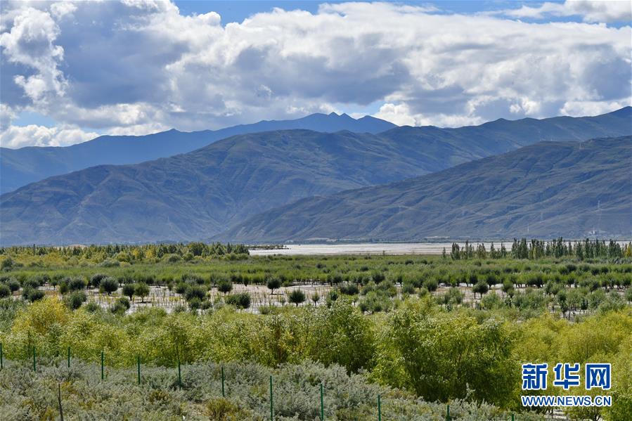 （圖文互動）（4）&ldquo;今天的生活，就像夢里夢到那樣甜&rdquo;&mdash;&mdash;寫在西藏百萬農(nóng)奴解放61周年之際