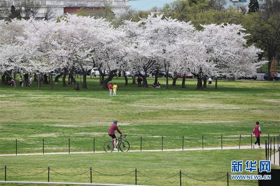 （國(guó)際疫情）（1）約翰斯&middot;霍普金斯大學(xué)：美國(guó)新冠肺炎確診病例超10萬(wàn)例