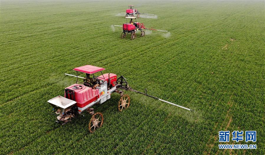 （新華全媒頭條&middot;圖文互動）（3）春天，匯聚復(fù)蘇的力量&mdash;&mdash;寫在2020年首季中國經(jīng)濟(jì)收官之際