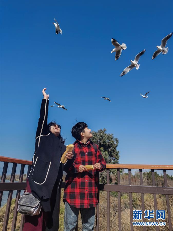 （一線抗疫群英譜&middot;圖文互動）（1）大學(xué)生志愿者譚藝西：在武漢，我和媽媽共戰(zhàn)&ldquo;疫&rdquo;