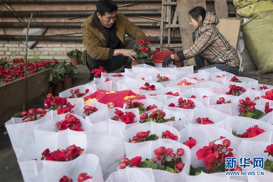 （在習(xí)近平新時(shí)代中國(guó)特色社會(huì)主義思想指引下&mdash;&mdash;新時(shí)代新作為新篇章&middot;習(xí)近平總書記關(guān)切事&middot;圖文互動(dòng)）（1）希望的田野，希望的春天&mdash;&mdash;各地農(nóng)業(yè)生產(chǎn)新動(dòng)態(tài)掃描