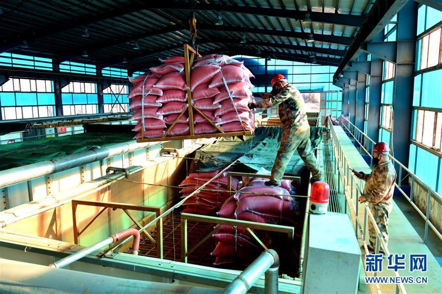 （在習(xí)近平新時(shí)代中國(guó)特色社會(huì)主義思想指引下&mdash;&mdash;新時(shí)代新作為新篇章&middot;習(xí)近平總書記關(guān)切事&middot;圖文互動(dòng)）（6）希望的田野，希望的春天&mdash;&mdash;各地農(nóng)業(yè)生產(chǎn)新動(dòng)態(tài)掃描