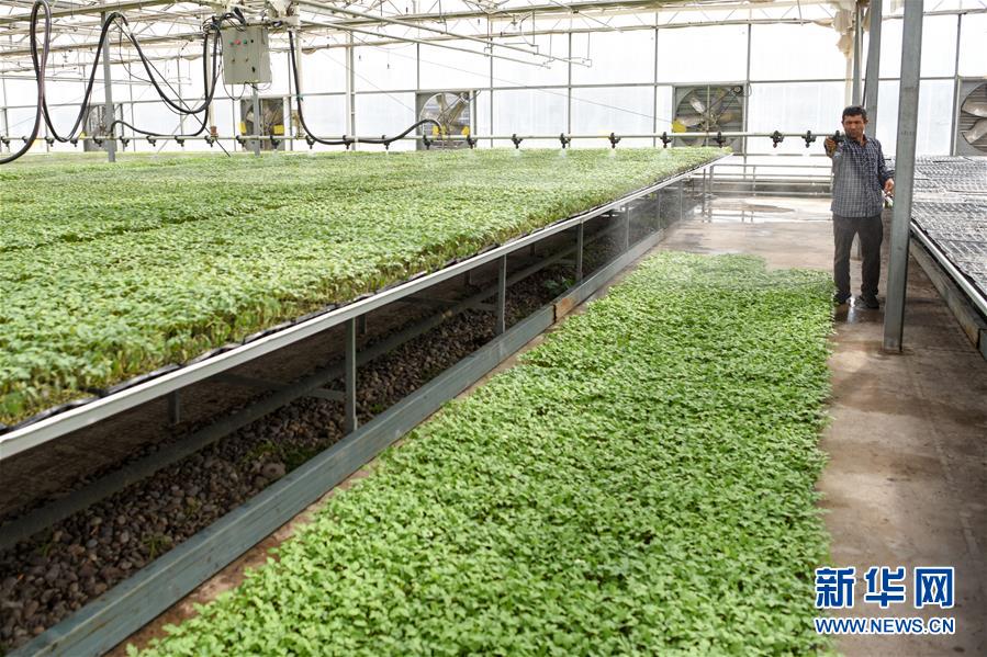 （決戰(zhàn)決勝脫貧攻堅(jiān)&middot;圖文互動(dòng)）（3）決戰(zhàn)昆侖&mdash;&mdash;新疆聚焦10個(gè)未摘帽縣展開(kāi)深度貧困攻堅(jiān)戰(zhàn) 