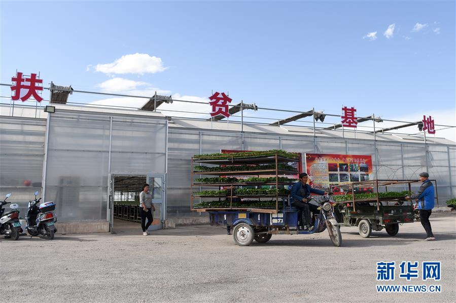 （決戰(zhàn)決勝脫貧攻堅(jiān)&middot;圖文互動(dòng)）（9）決戰(zhàn)昆侖&mdash;&mdash;新疆聚焦10個(gè)未摘帽縣展開(kāi)深度貧困攻堅(jiān)戰(zhàn) 