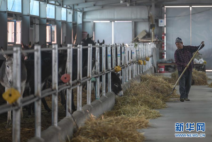 （決戰(zhàn)決勝脫貧攻堅(jiān)&middot;圖文互動(dòng)）（12）決戰(zhàn)昆侖&mdash;&mdash;新疆聚焦10個(gè)未摘帽縣展開(kāi)深度貧困攻堅(jiān)戰(zhàn) 