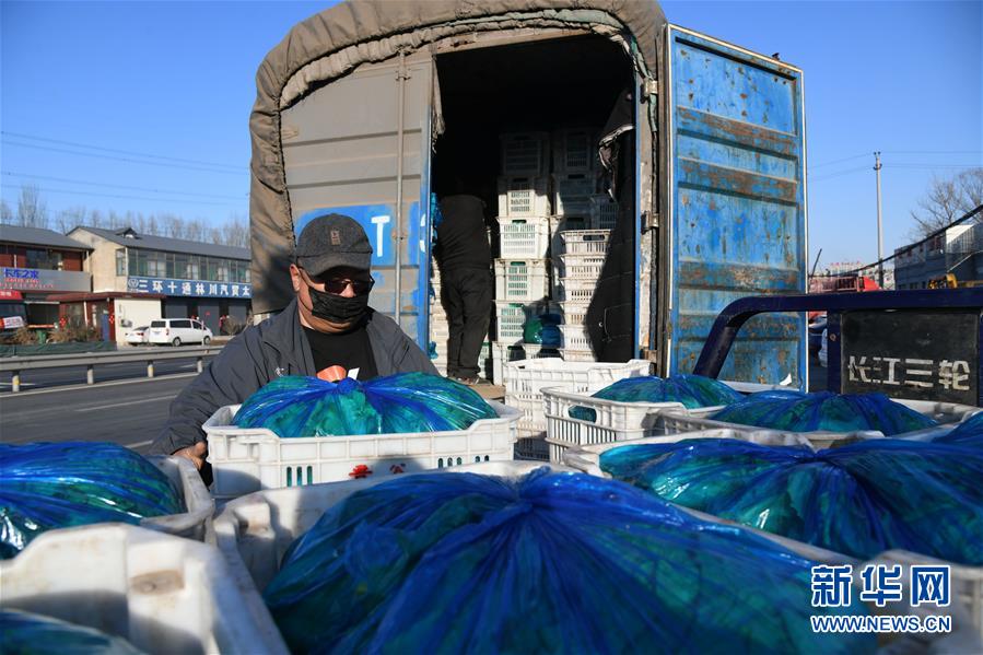 （在習(xí)近平新時(shí)代中國(guó)特色社會(huì)主義思想指引下&mdash;&mdash;新時(shí)代新作為新篇章&middot;習(xí)近平總書(shū)記關(guān)切事&middot;圖文互動(dòng)）（3）抗疫之下 保供無(wú)憂(yōu)