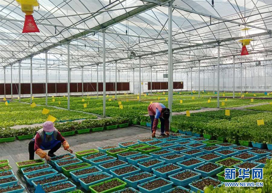 （在習(xí)近平新時(shí)代中國(guó)特色社會(huì)主義思想指引下&mdash;&mdash;新時(shí)代新作為新篇章&middot;習(xí)近平總書(shū)記關(guān)切事&middot;圖文互動(dòng)）（5）抗疫之下 保供無(wú)憂(yōu)