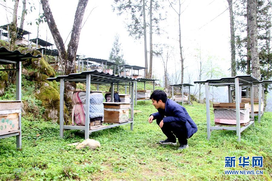 （決戰(zhàn)決勝脫貧攻堅&middot;圖文互動）（3）寄相思，償夙愿&mdash;&mdash;5封清明&ldquo;家書&rdquo;里的決戰(zhàn)決勝信念